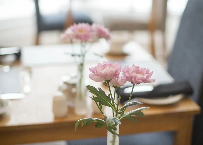 Bed & Breakfast Rosslyn House *