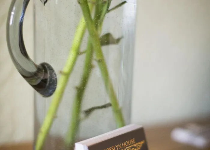 Rosslyn House Bed & Breakfast *