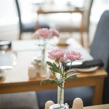 Bed & Breakfast Rosslyn House *